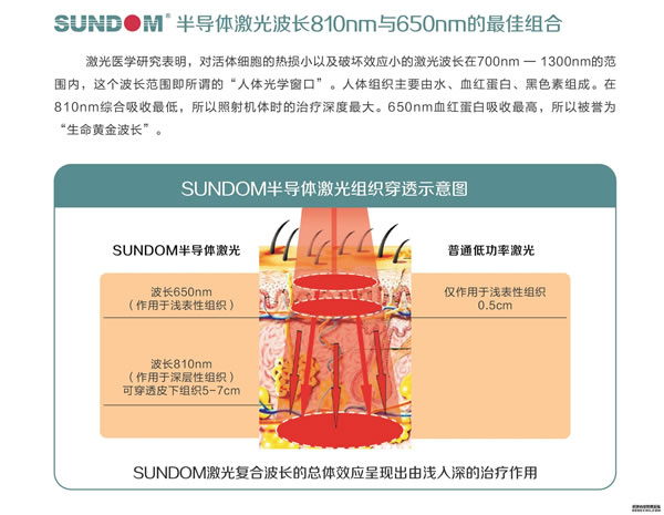 SUNDOM-300IB/130液晶型 半导体激光治疗机(图5)